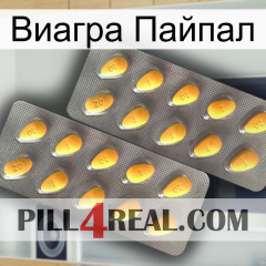 Виагра Пайпал cialis2